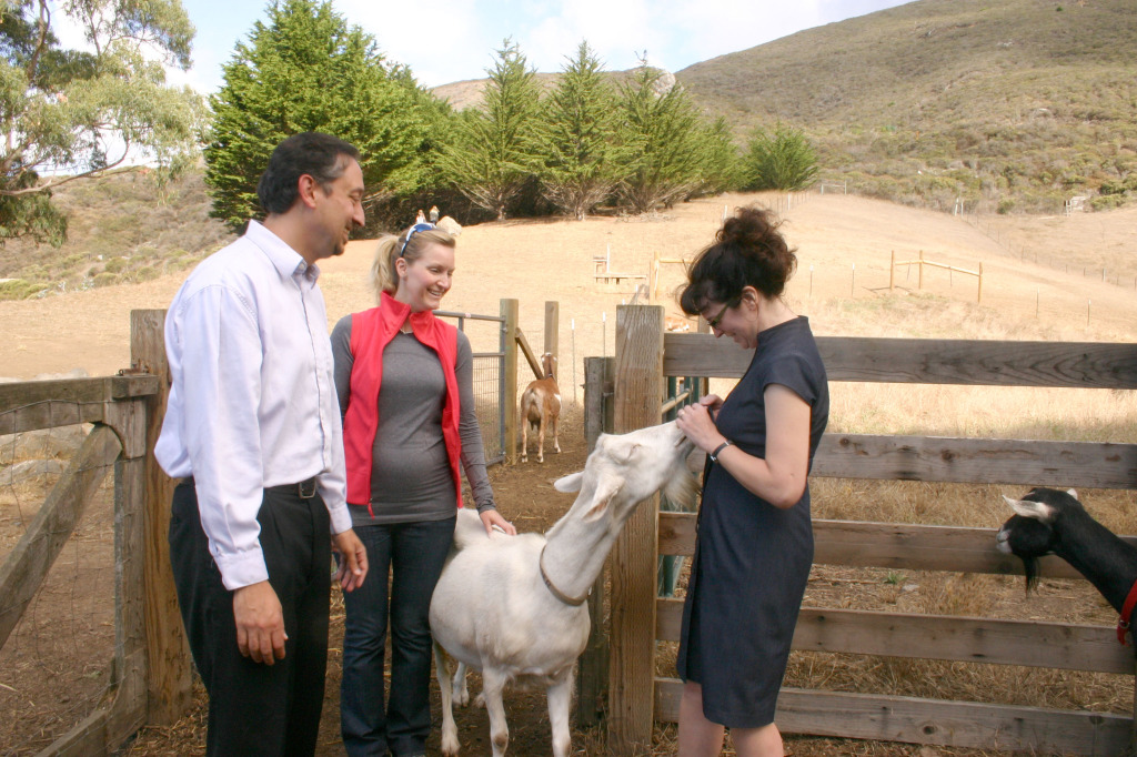 Getting up close and personal with the goats.