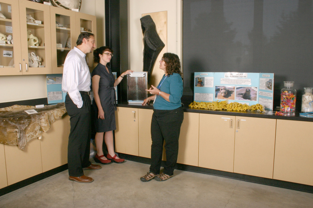 Dale Anania shows an x-ray of a marine mammal patient.